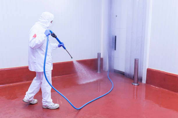 Best Playground Equipment Cleaning  in La Grulla, TX